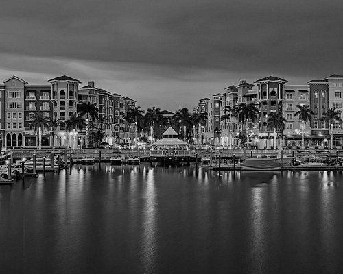 A black and white photo of a harbor with buildings and palm trees