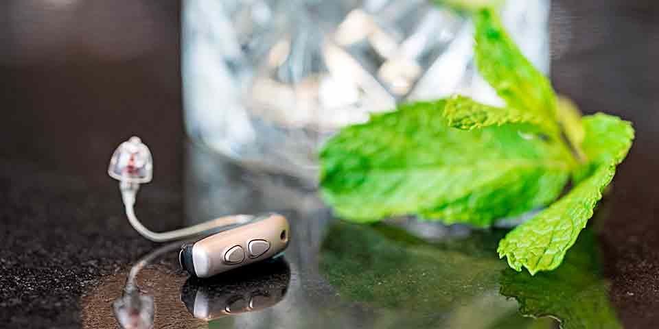 Apparecchio acustico automatico Zerena