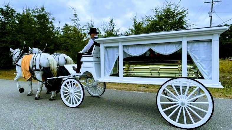 White horse-drawn hearse carrying a golden coffin, driven by a person in formal attire on a paved road.