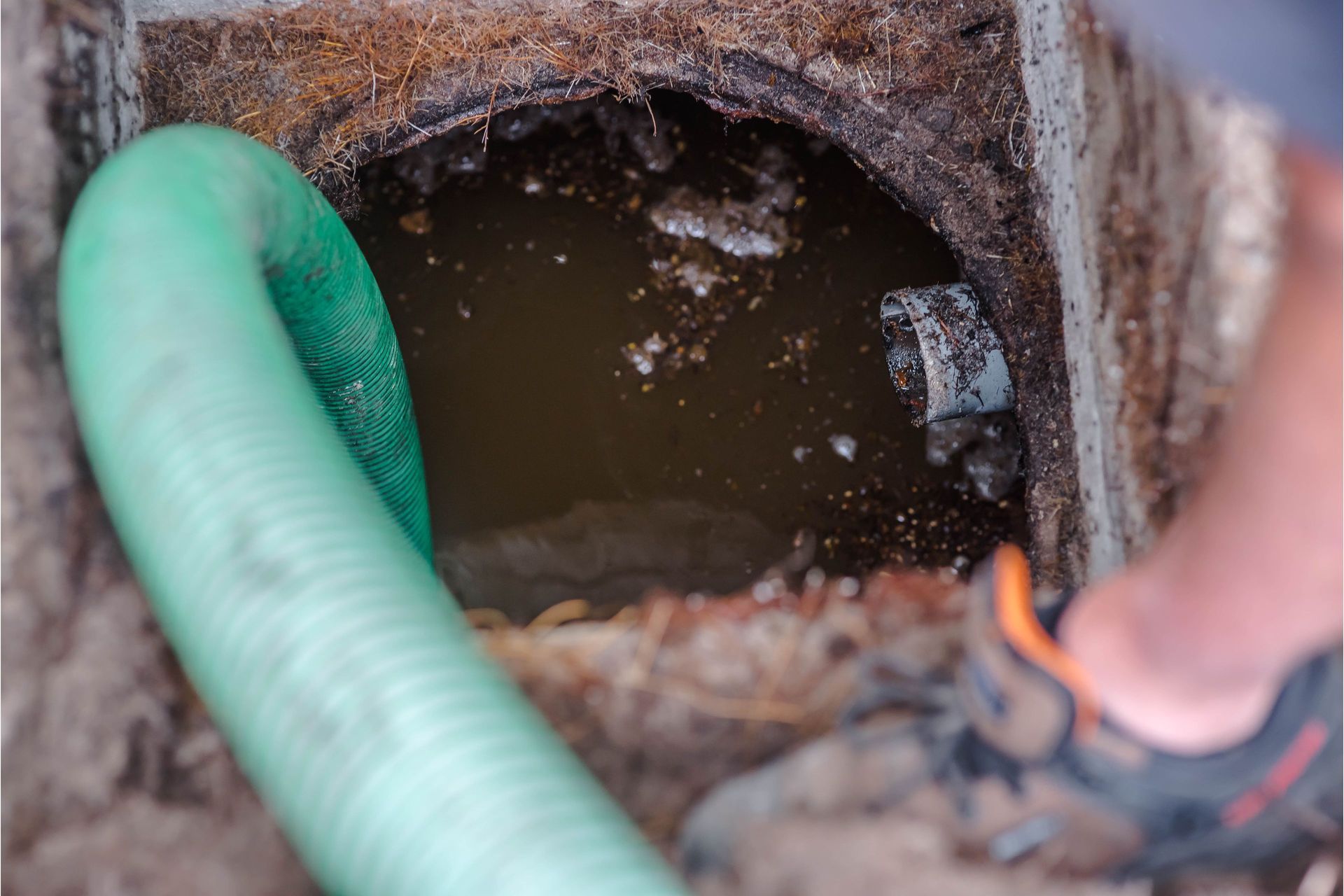 A green suction hose is lowered into an open, liquid-filled septic tank during maintenance. septic tank pumping in Greenville, NC