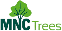 MNC Trees—Providing Tree Services in Port Macquarie