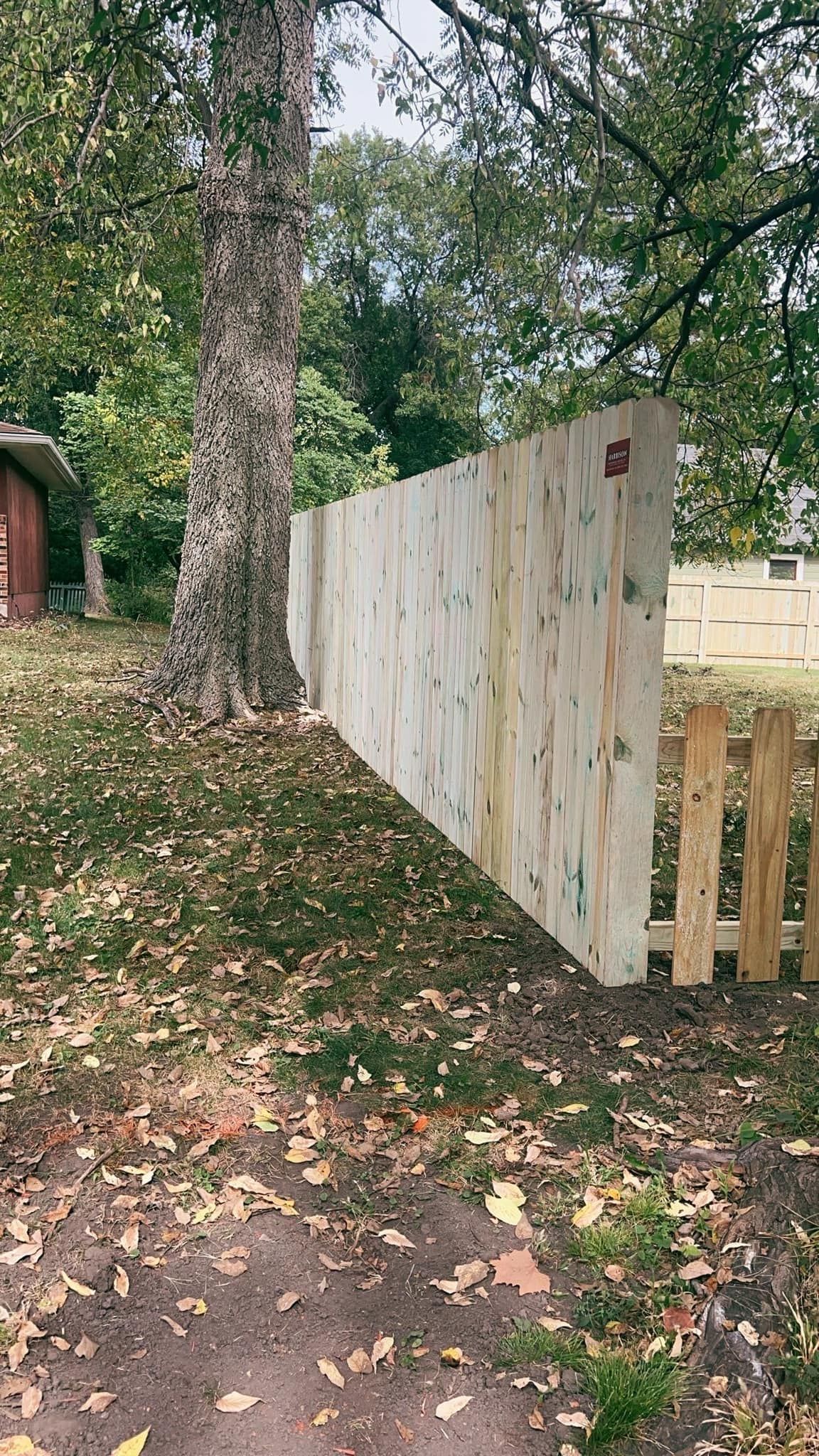 A wooden fence next to a tree in a yard with autumn leaves on the ground.