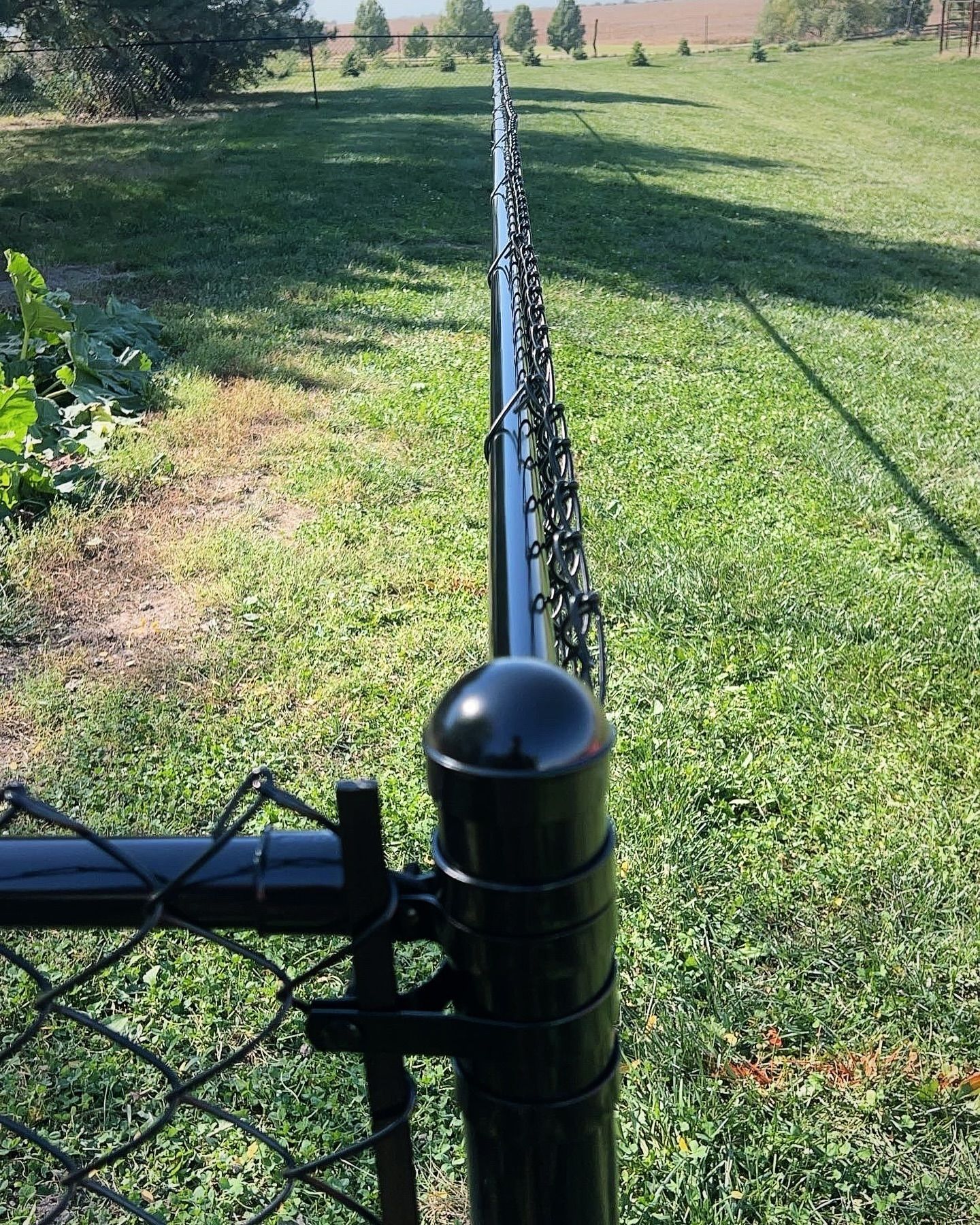 Black chain link fence in a grassy yard, extending into the distance.