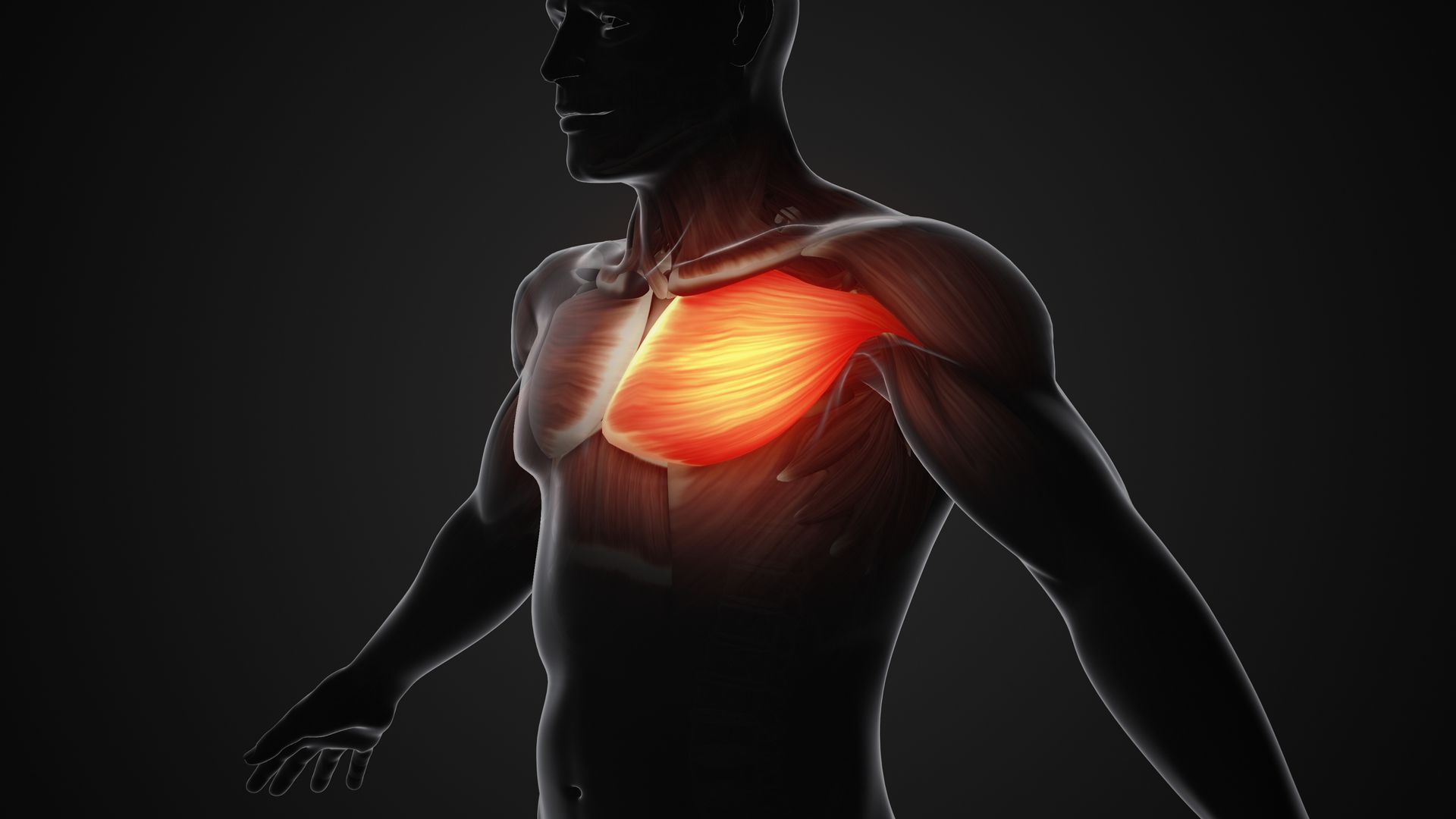 medico per malattie reumatiche a Bari - fibromialgia