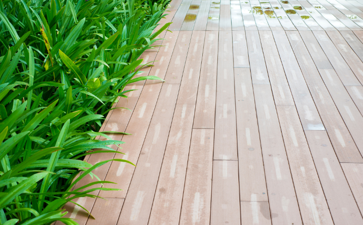 A photo of a deck that has a beautiful green flower bed to the left. The flower bed has a lot of plants mostly green in color.