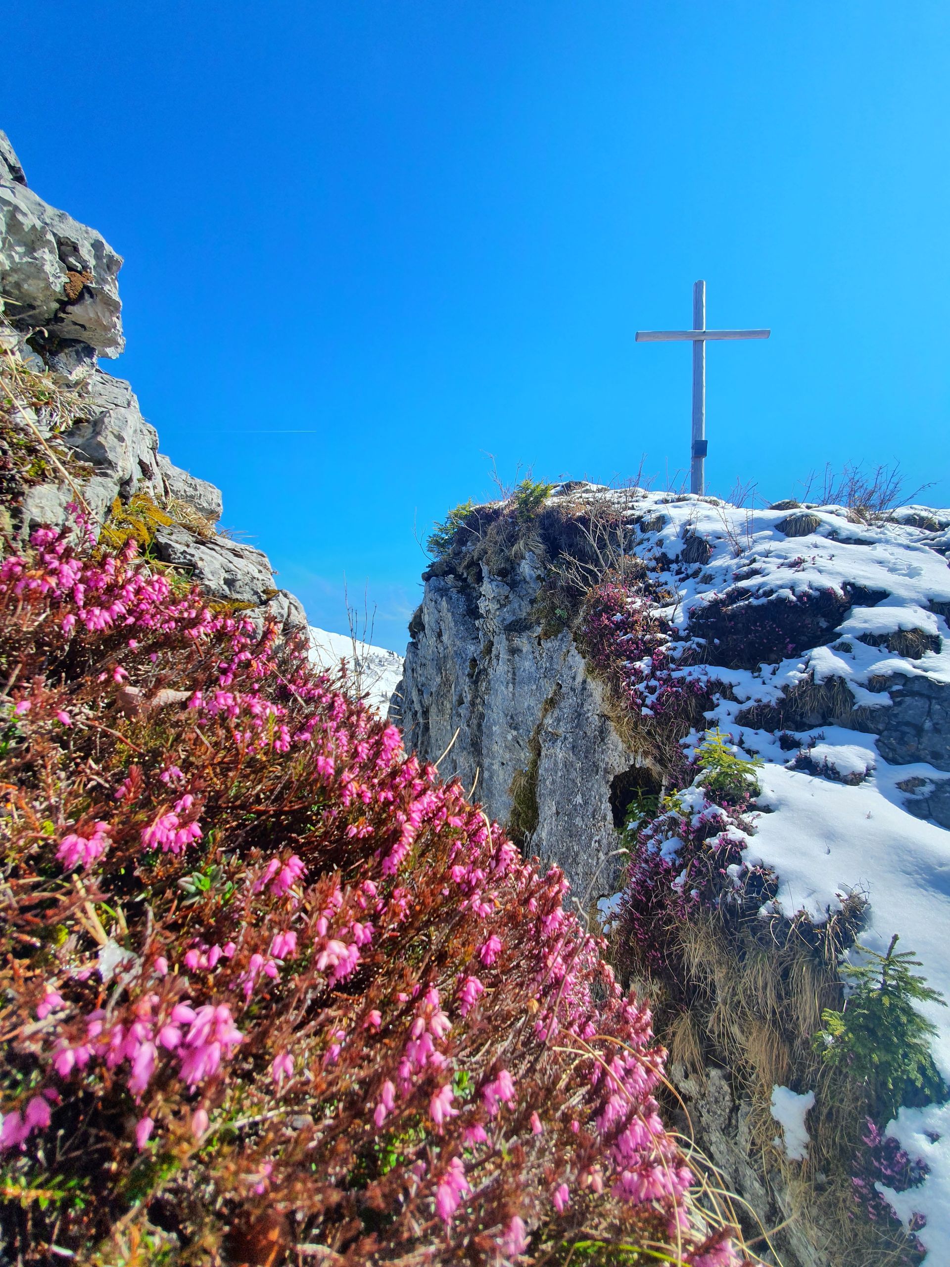 ein Kreuz auf einem Berg mit rosa Blumen im Vordergrund .