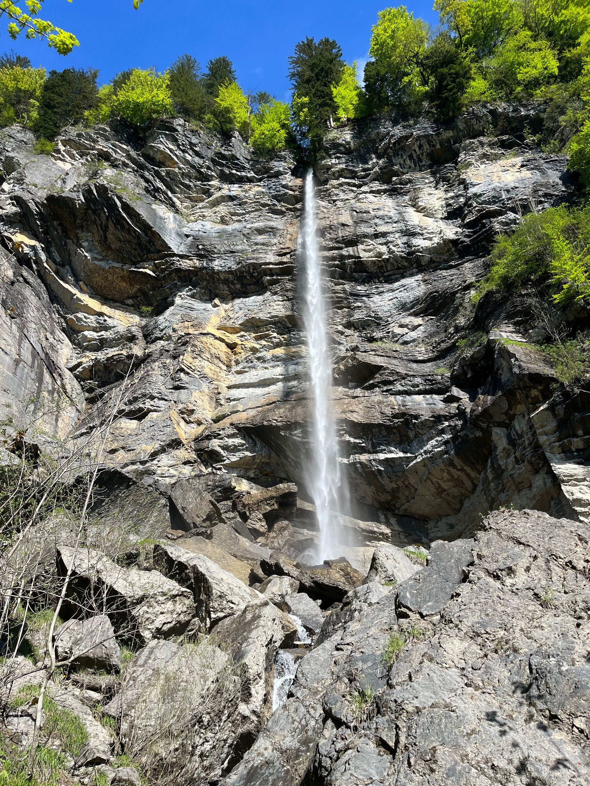 Ein Wasserfall stürzt von einer Klippe in den Wald .