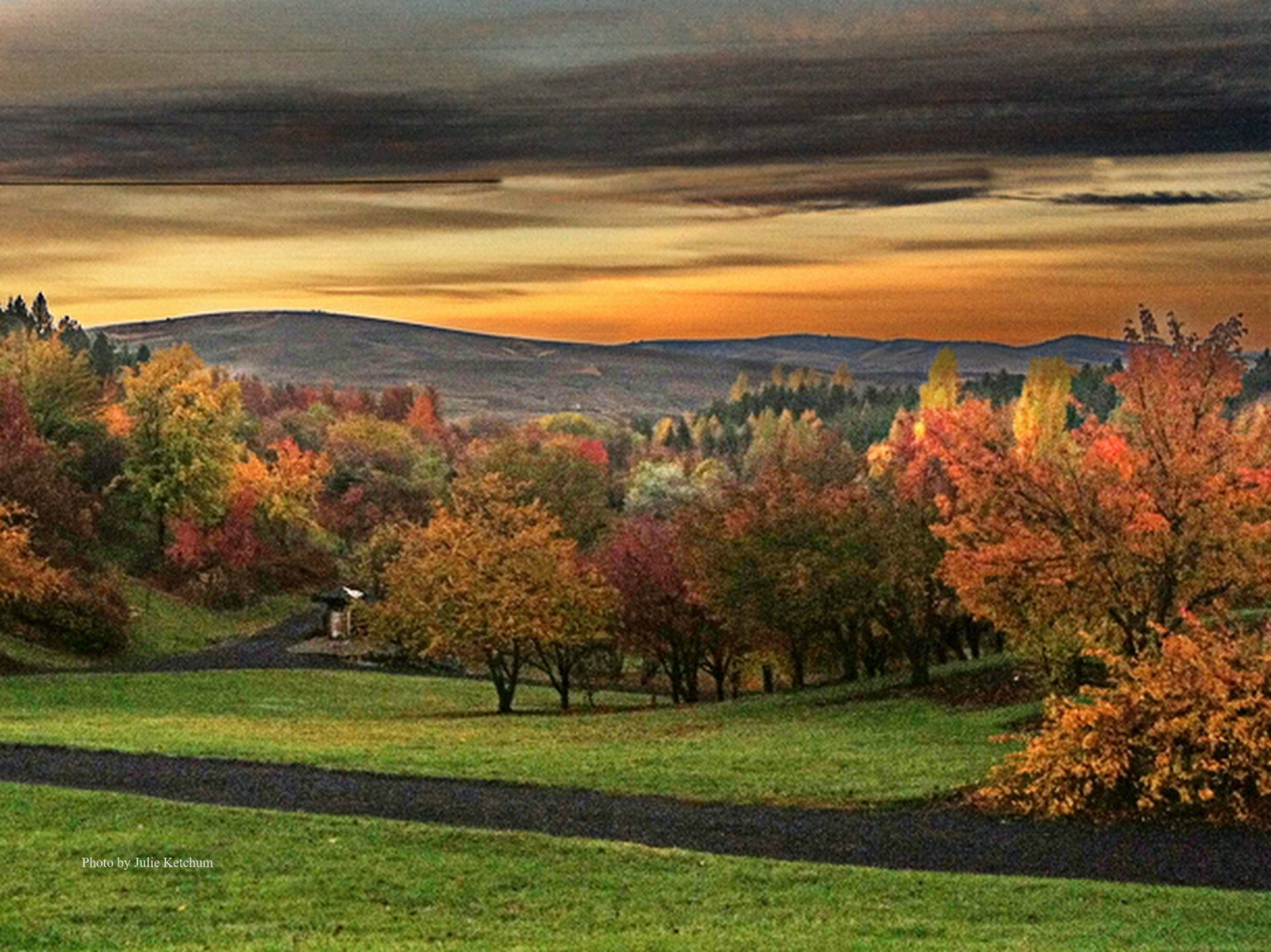 Arboretum Exterior photo