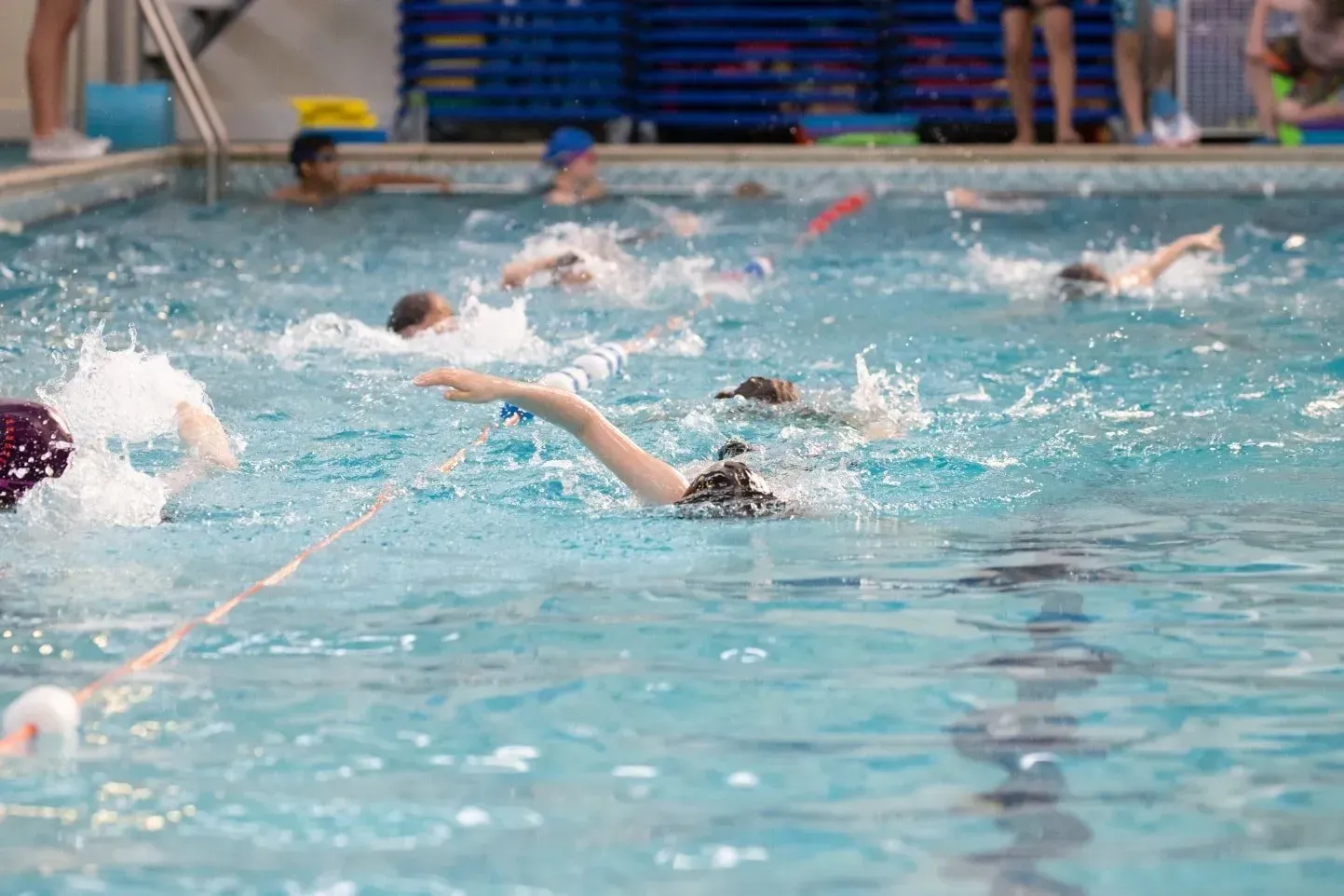 A group of people are swimming in a swimming pool.