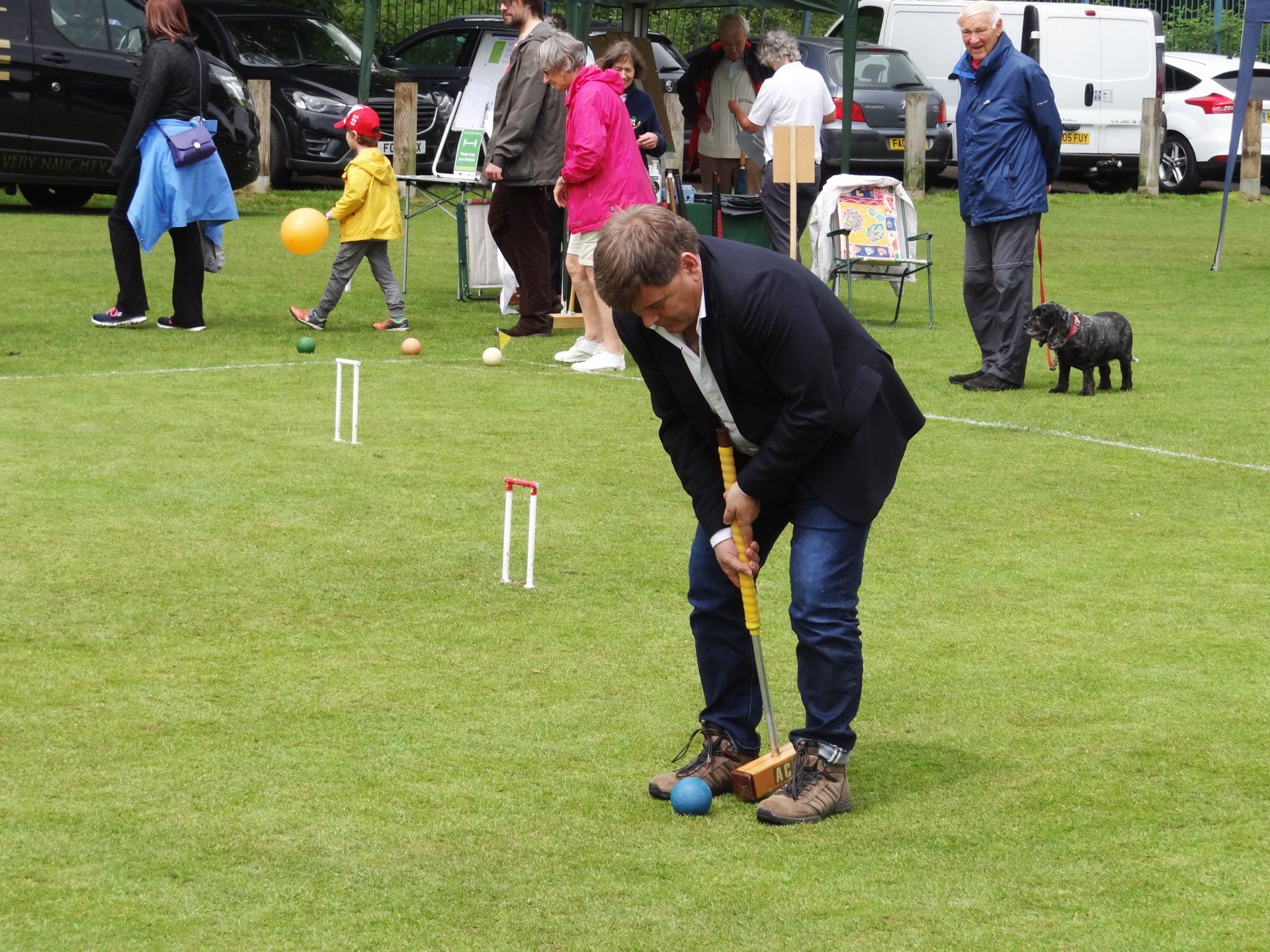 A man is playing a game of croquet on a lush green field.