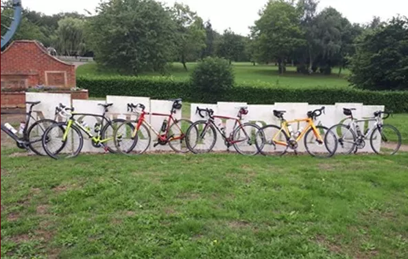 A row of bicycles are parked in a grassy field