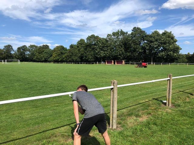 A man leaning over a fence looking at a field