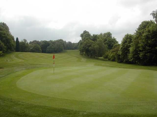 A golf course with a green and trees in the background
