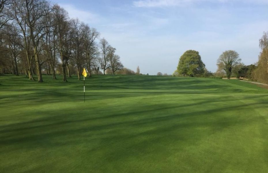 A golf course with trees in the background and a yellow flag on the green.