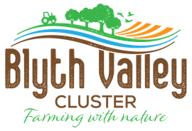 Blyth Valley Cluster logo