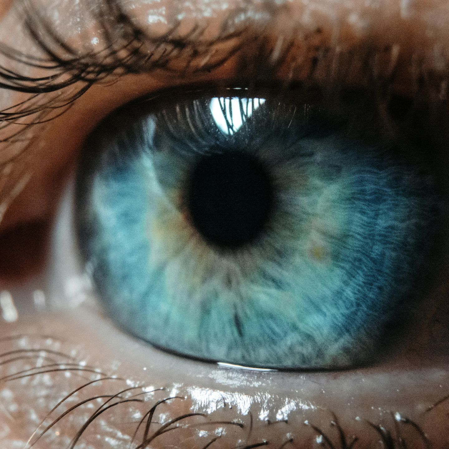 A close up of a person 's blue eye