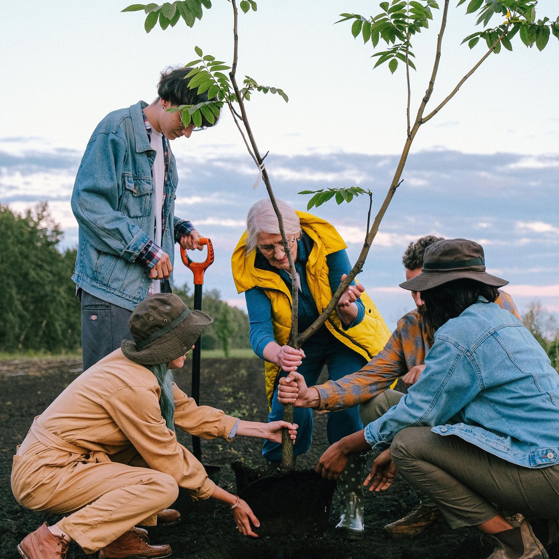 A group of people are planting a tree together