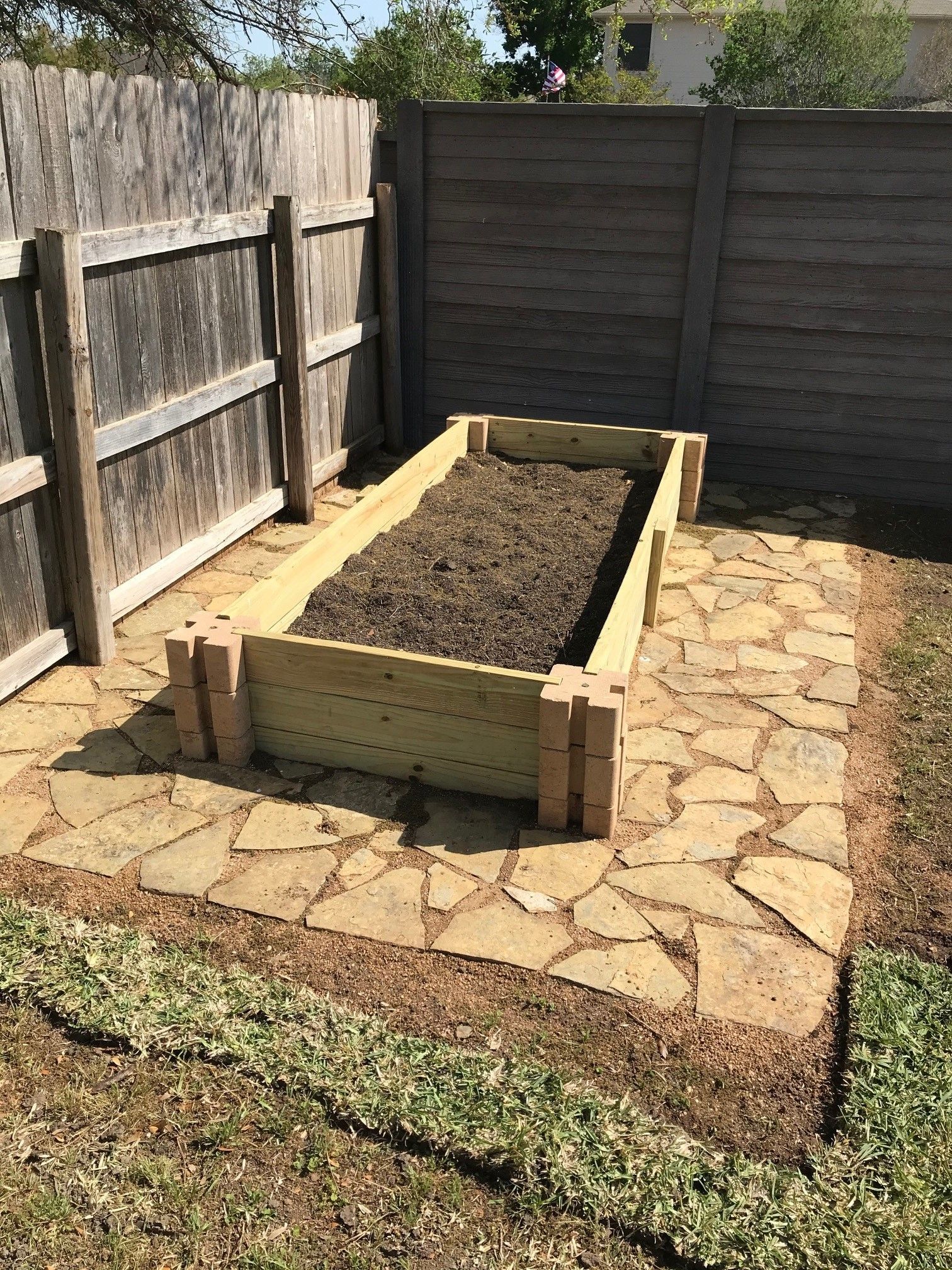 Pool with Small Tree — Austin, TX — Advanced Landscape Designs