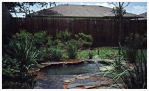 Small Pond — Austin, TX — Advanced Landscape Designs