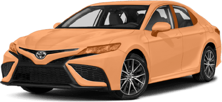 Full Body PPF Package