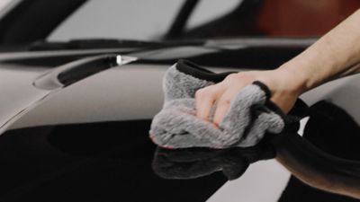 clear bra installer orlando