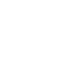 Empty white background.