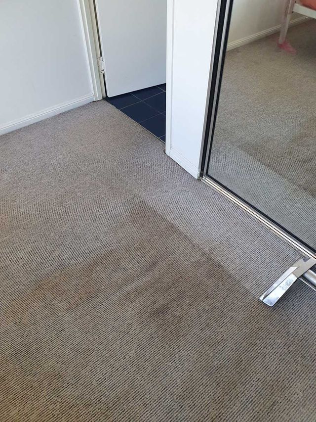 After Carpet Cleaning — Townsville, QLD — Bethel Carpet Cleaning
