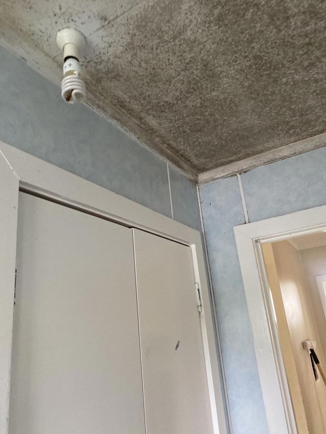 Before Removing Bathroom Mould — Townsville, QLD — Bethel Carpet Cleaning