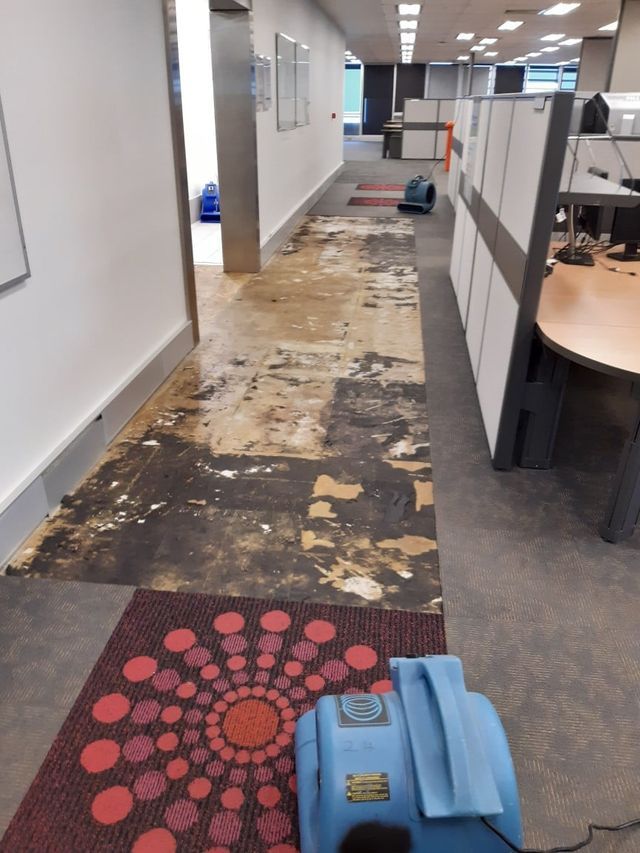 Before Water Restoration — Townsville, QLD — Bethel Carpet Cleaning