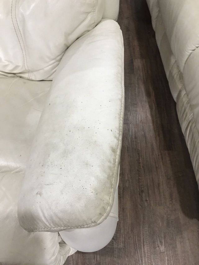 Before Cleaning Leather Sofa — Townsville, QLD — Bethel Carpet Cleaning
