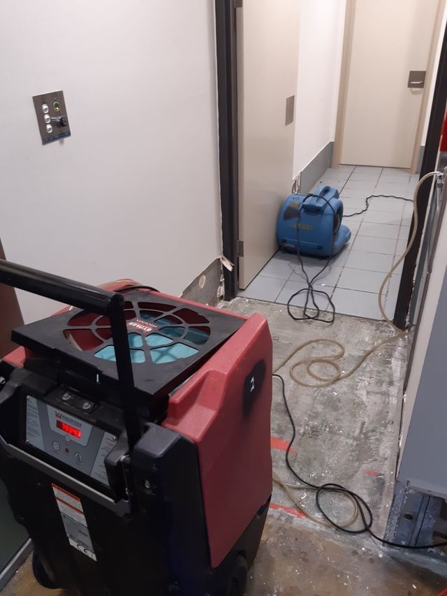 After Water Restoration — Townsville, QLD — Bethel Carpet Cleaning