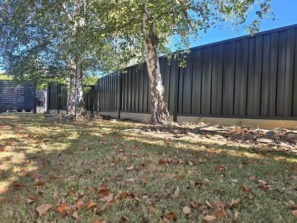 A black fence is surrounded by trees in a yard.
