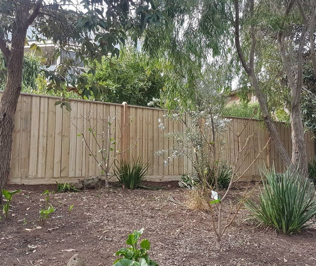 A wooden fence is surrounded by trees in a backyard.
