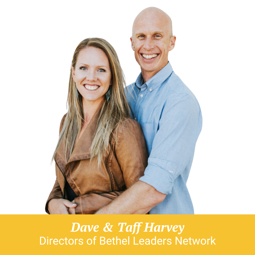 dave and taff harvey