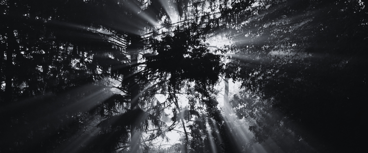 God’s glory and goodness