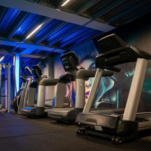 A row of treadmills are lined up in a gym