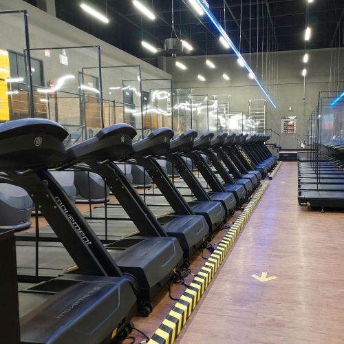 A row of treadmills are lined up in a gym