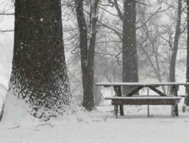 Read About SJ Johnson Service Areas SJ Johnson Service Areas