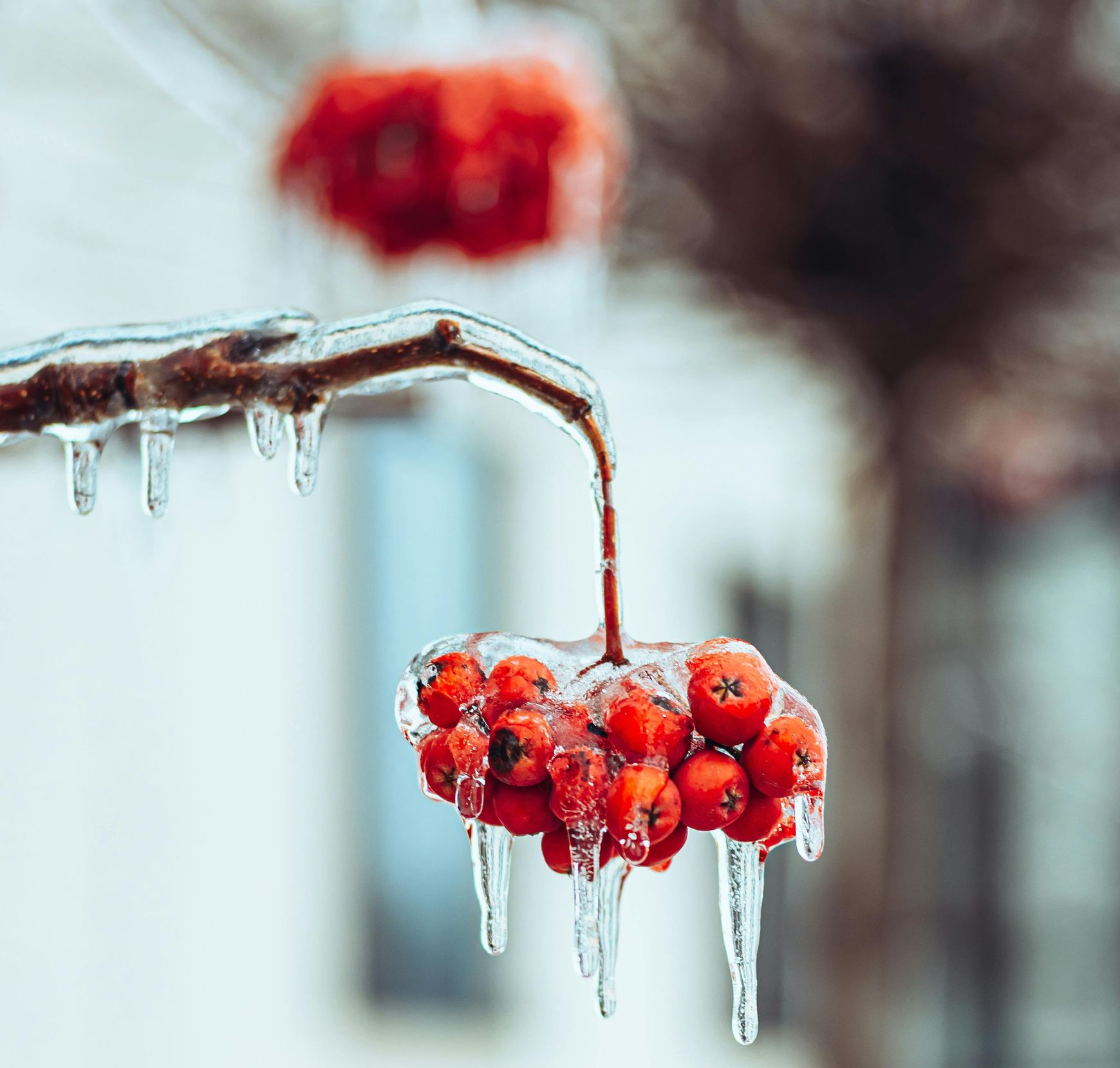 freezing cold in Southern MD