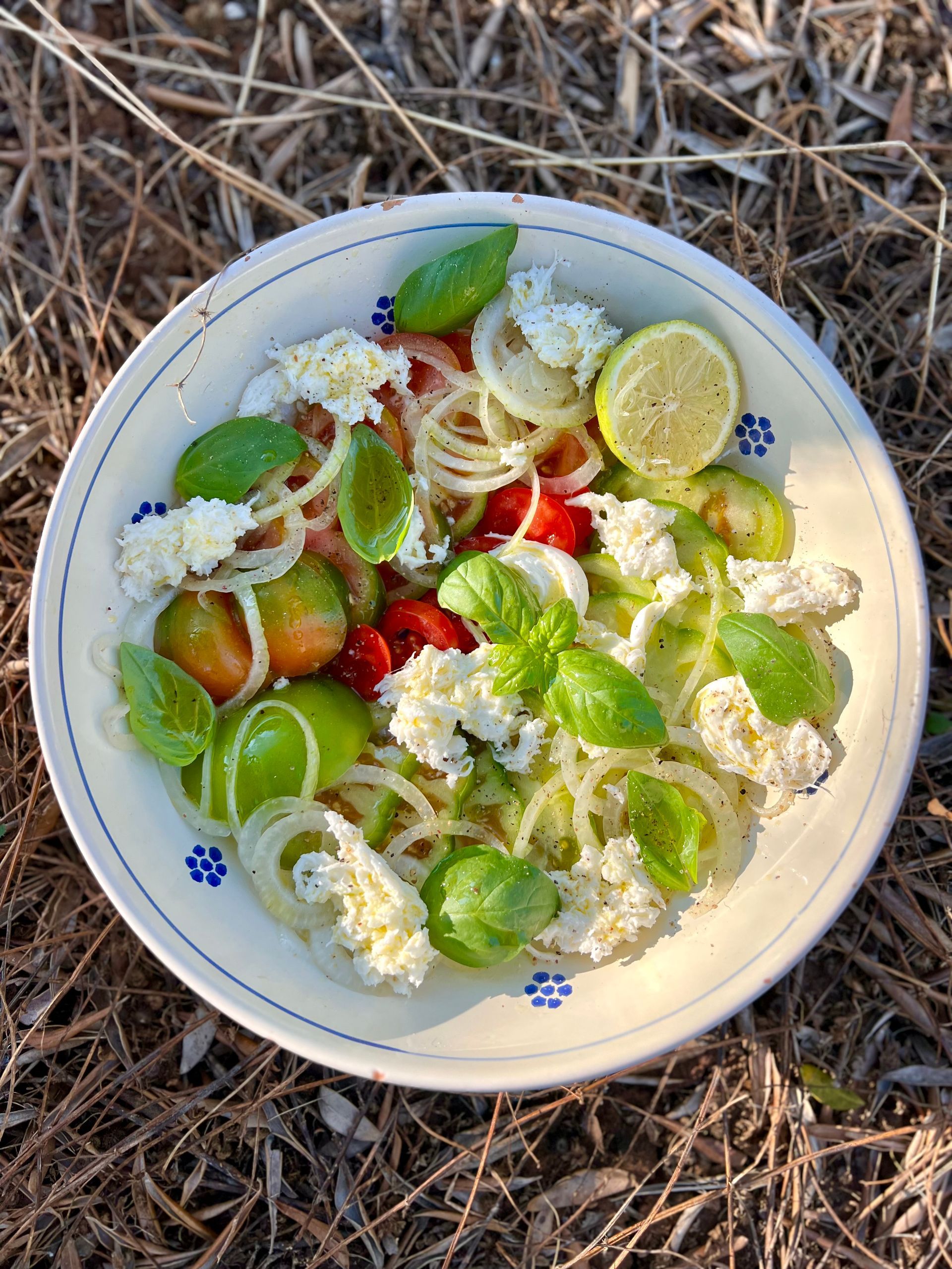 eteneteneten pomodorini