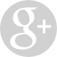 google plus icon