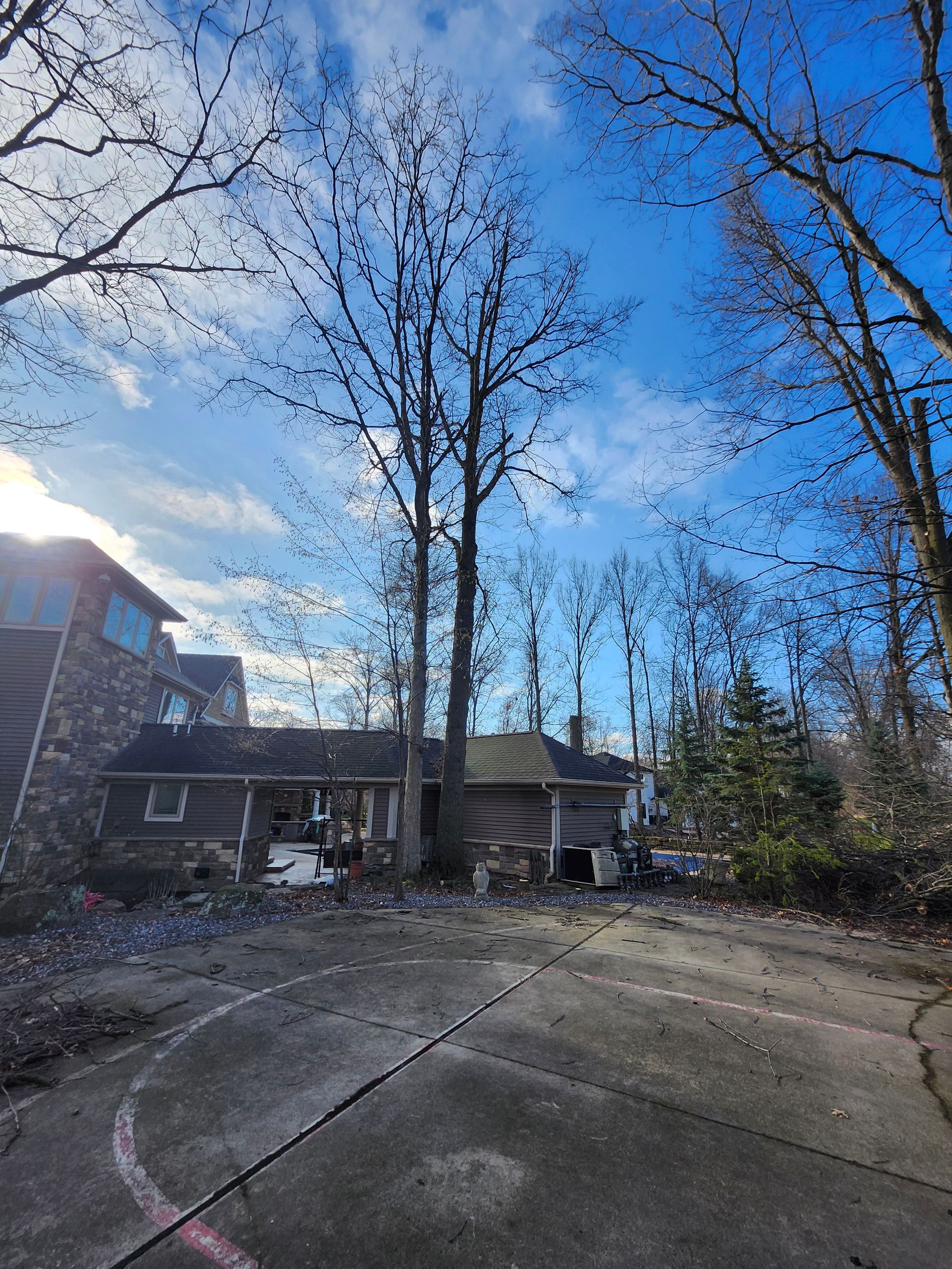 Tree trimming services in Bluffton, IN by M&L Gutters