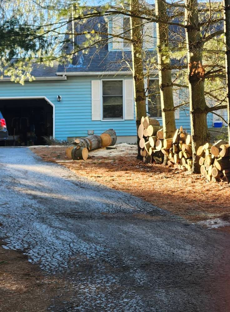 Professional tree removal services in Fort Wayne, IN by M&L Gutters