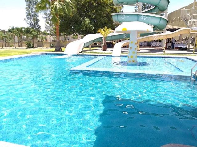 Piscina con toboganes acuáticos, incluyendo uno en forma de seta, y palmeras. Ambiente soleado al aire libre.