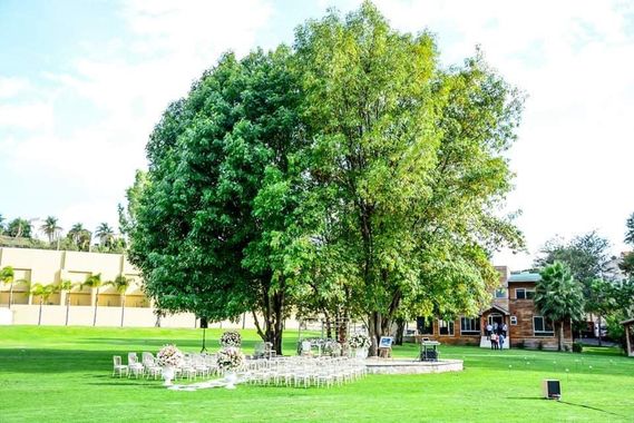 Árboles verdes con mesas para la boda en el césped, edificio al fondo.