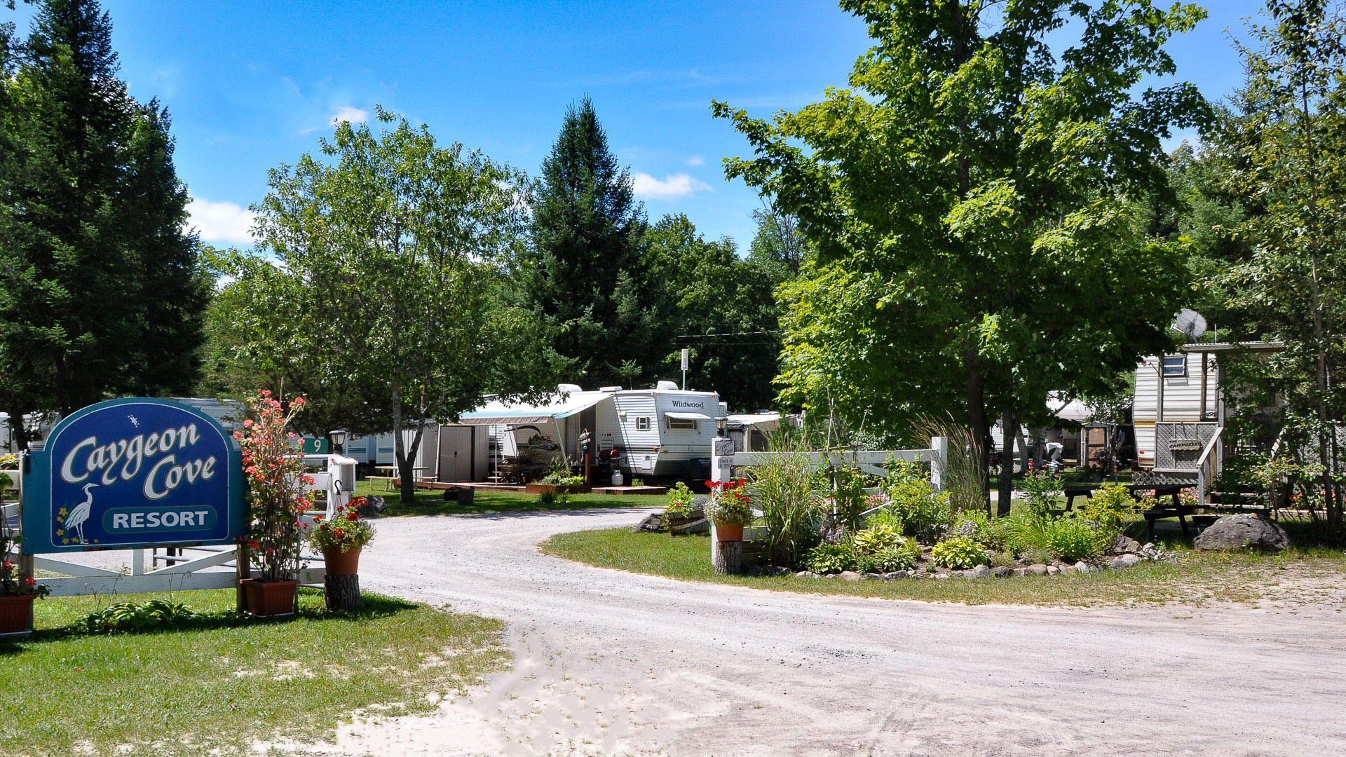 A campground with a sign that says canyon cove on it