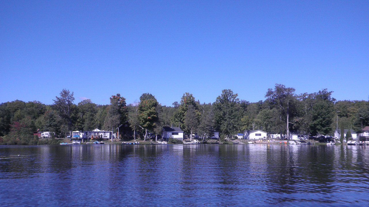 A lake surrounded by trees and houses on a sunny day