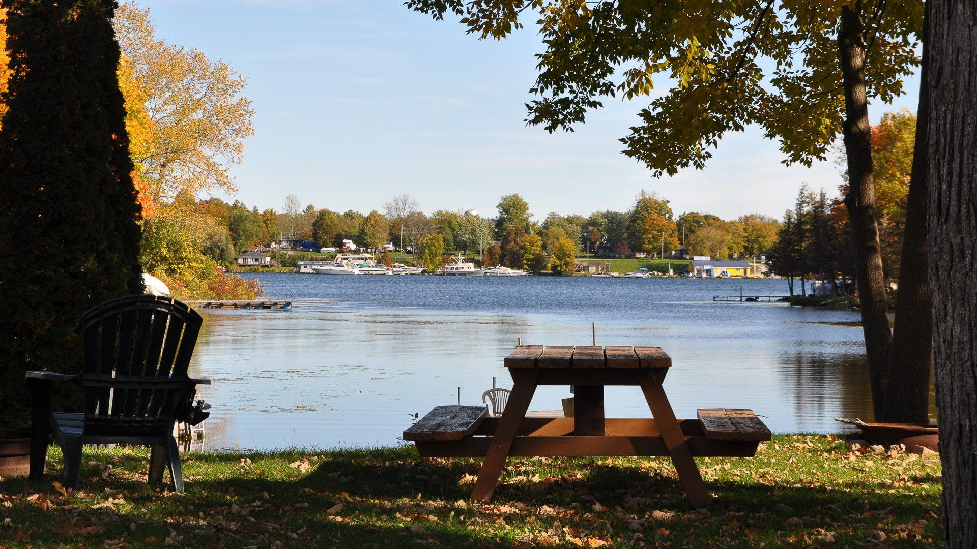 A picnic table sits in the grass near a lake