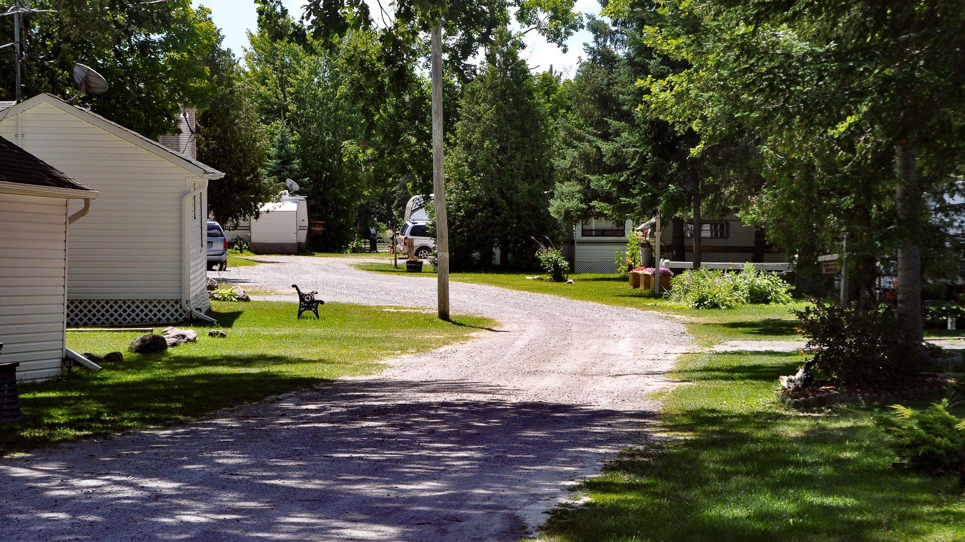 A dirt road going through a residential area with houses and trees