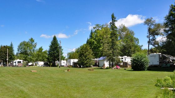 A row of rvs parked in a grassy field with trees in the background.